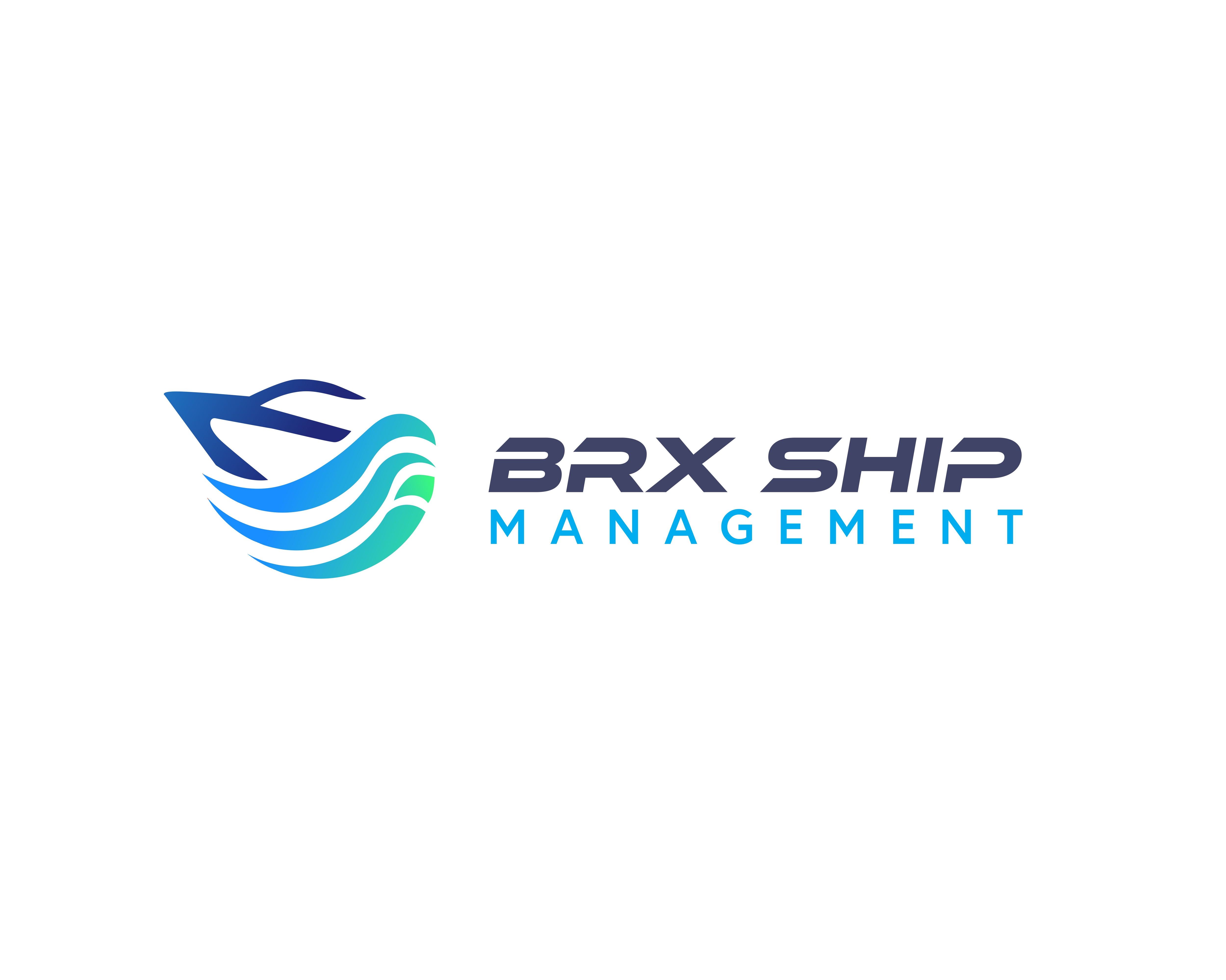 BRX SHIP MANAGEMENT FZE